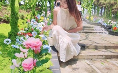 无人区乱码一线忘忧草